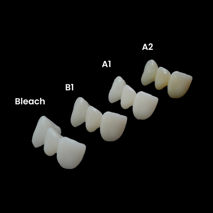 DentrealStore - Alias 3D Printer Resin for Dental Temp C&B - 1000 gr