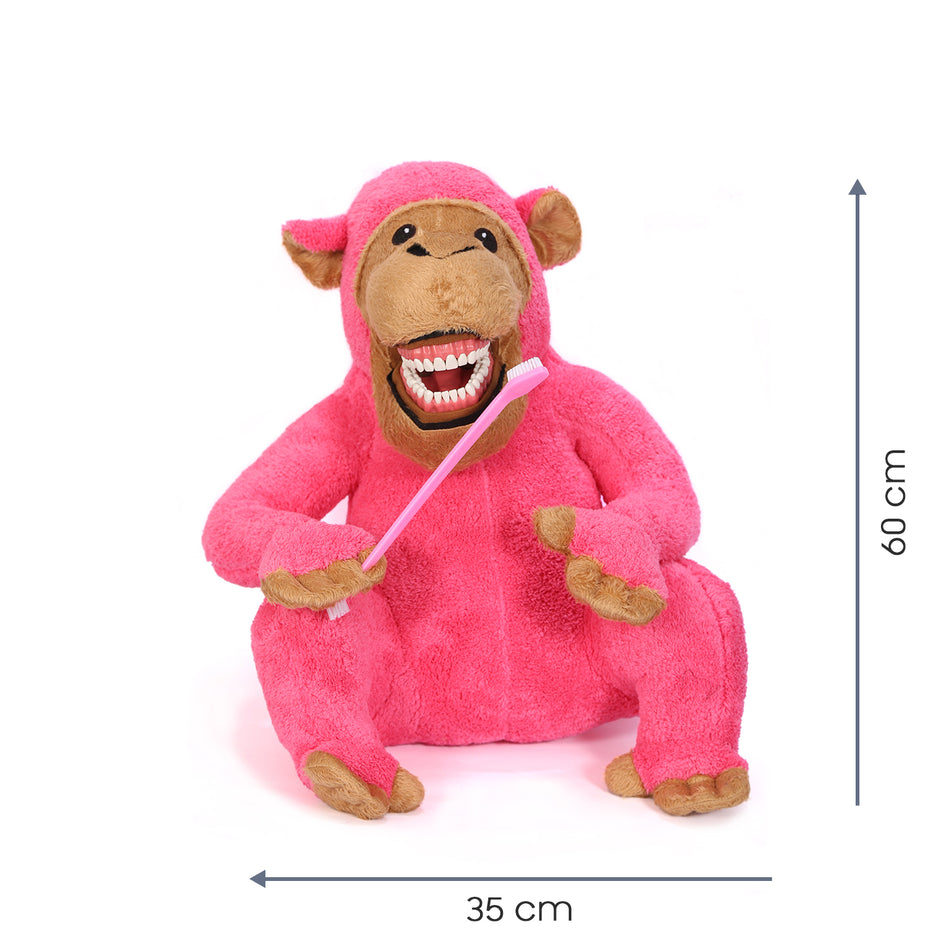 Pink Monkey Tooth Brush Teaching Model