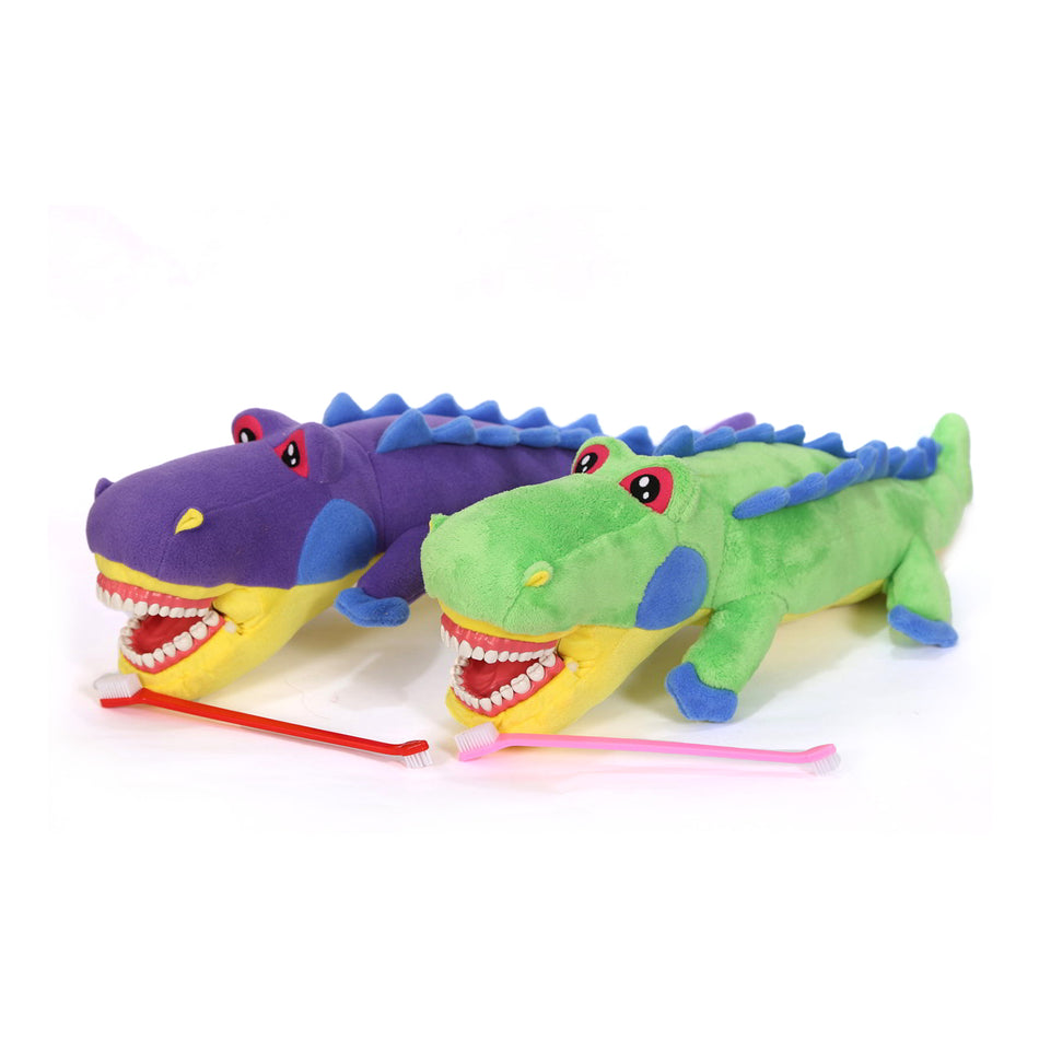 Crocodile Family Tooth Brush Teaching Model