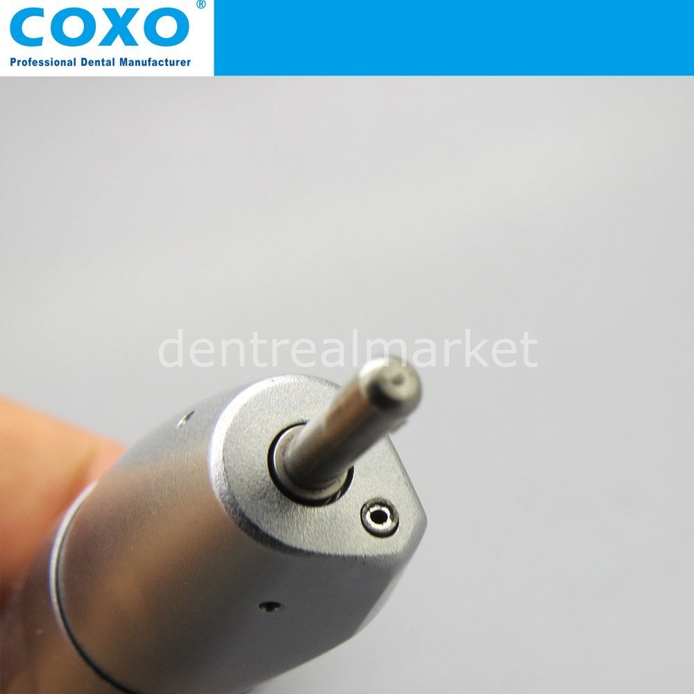 Coxo - Water Inside Handpiece 1:1