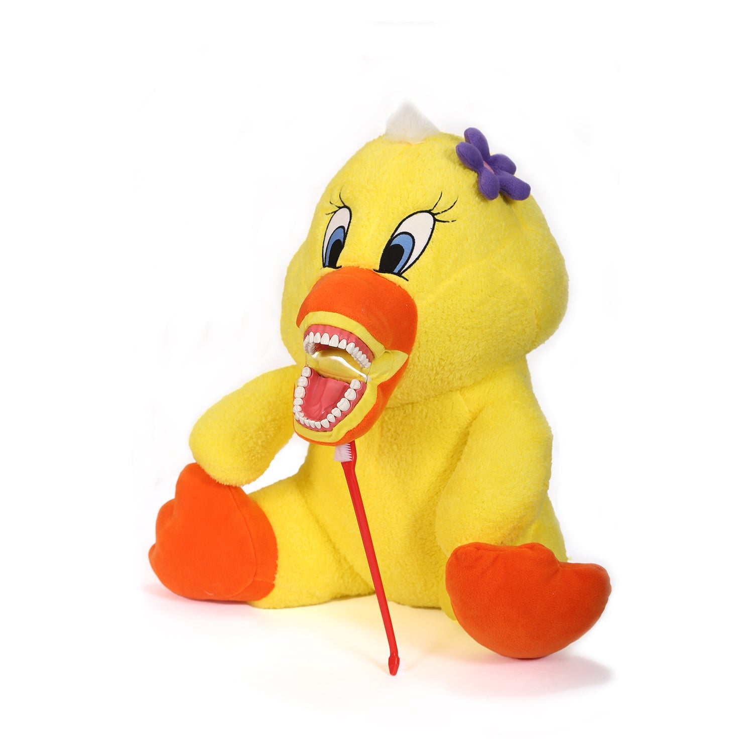 Sunray - Yellow Chick Tooth Brush Teaching Model