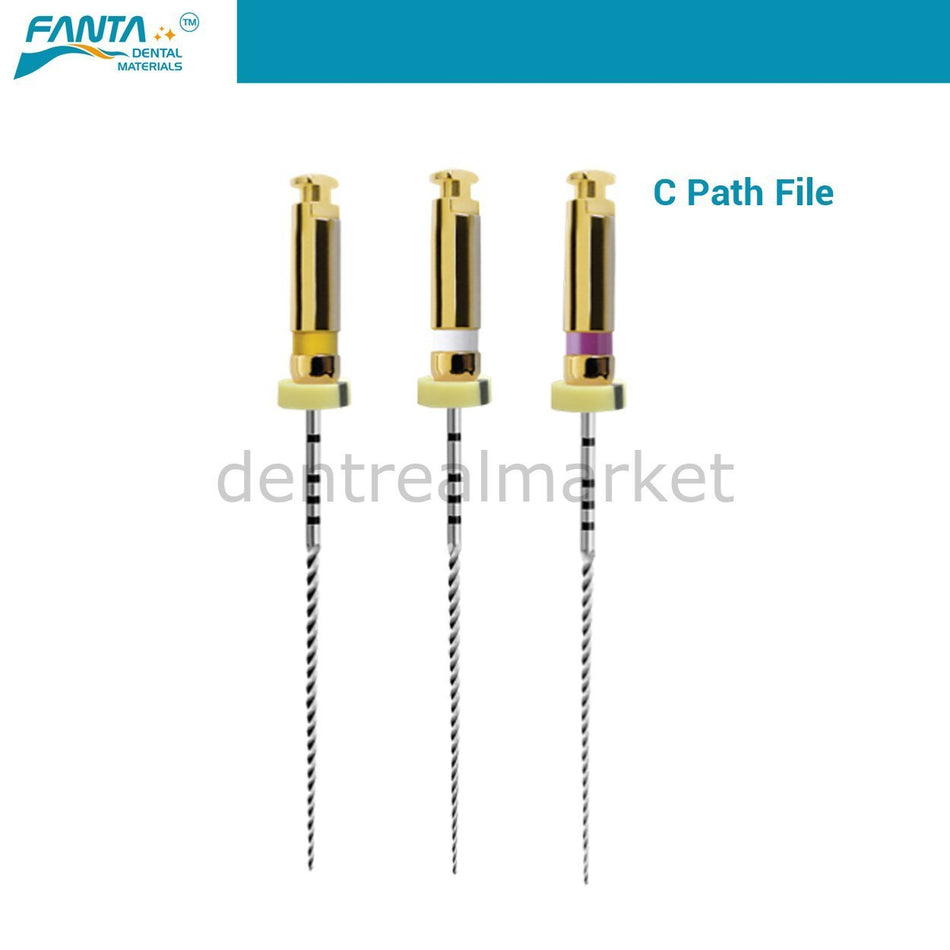 DentrealStore - Fanta Dental Af C - Niti Rotary Root File