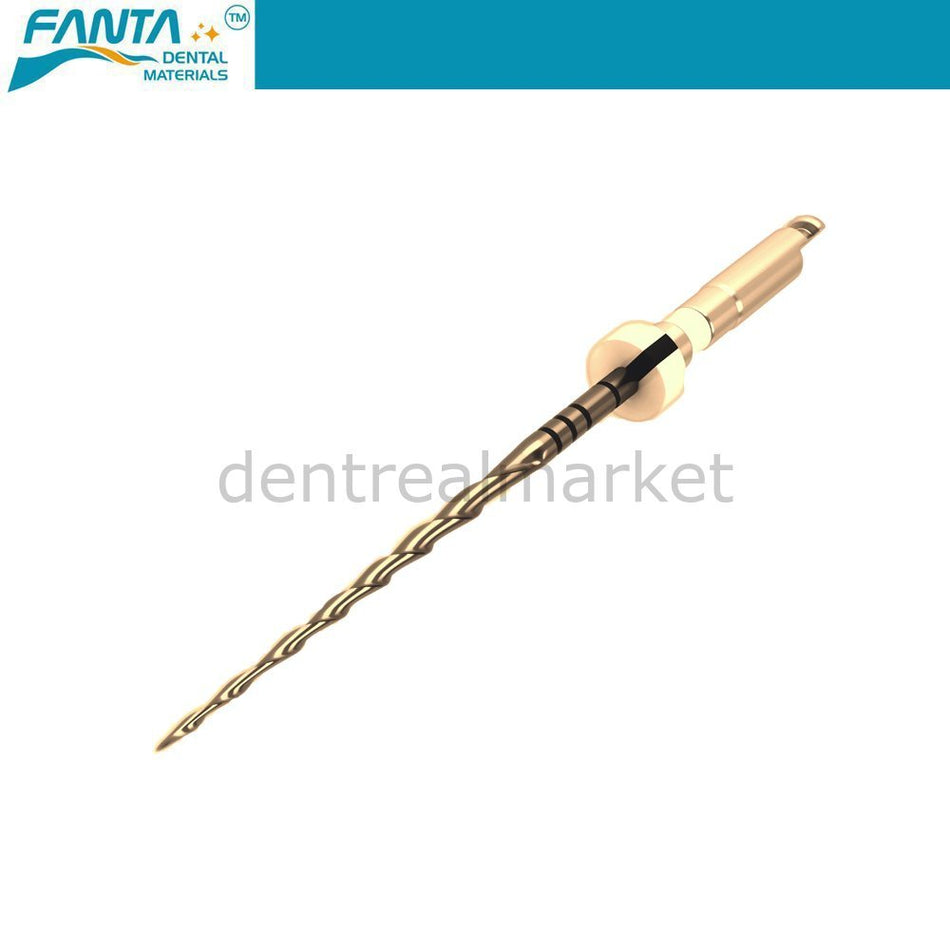 DentrealStore - Fanta Dental AF R3 Gold File Reciproc - Niti Rotary Root File