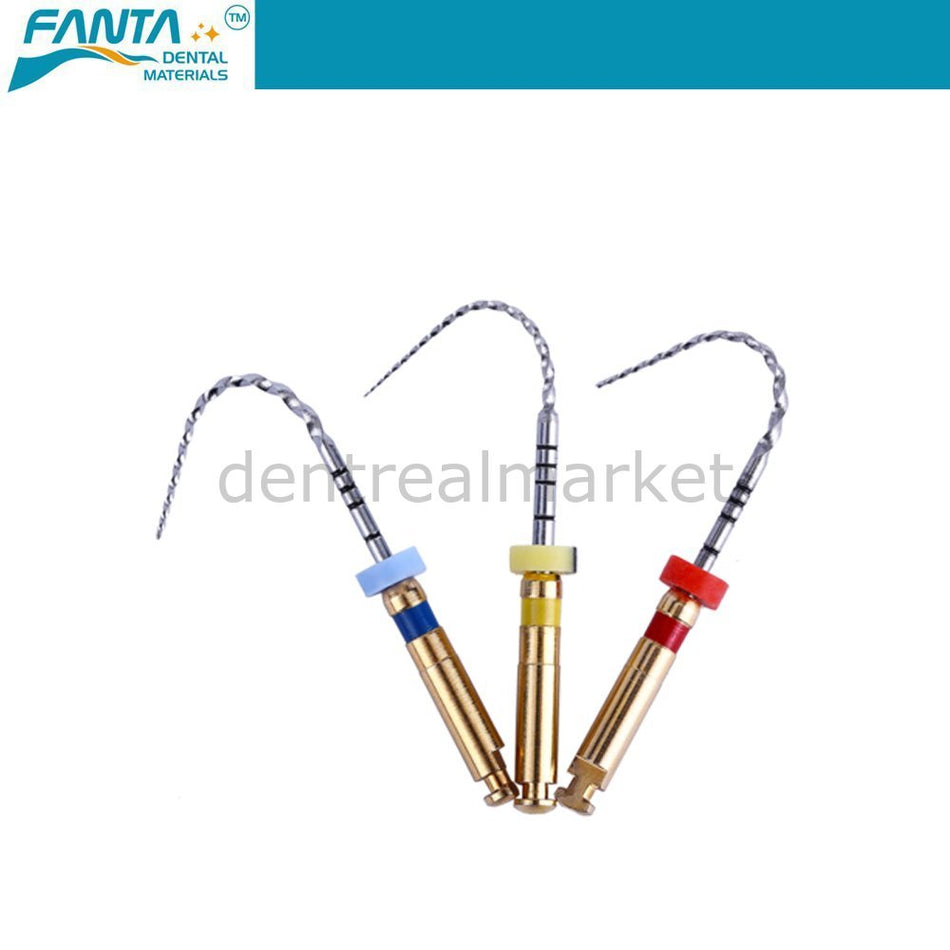 DentrealStore - Fanta Dental AF Rotary File - Niti Rotary Root File