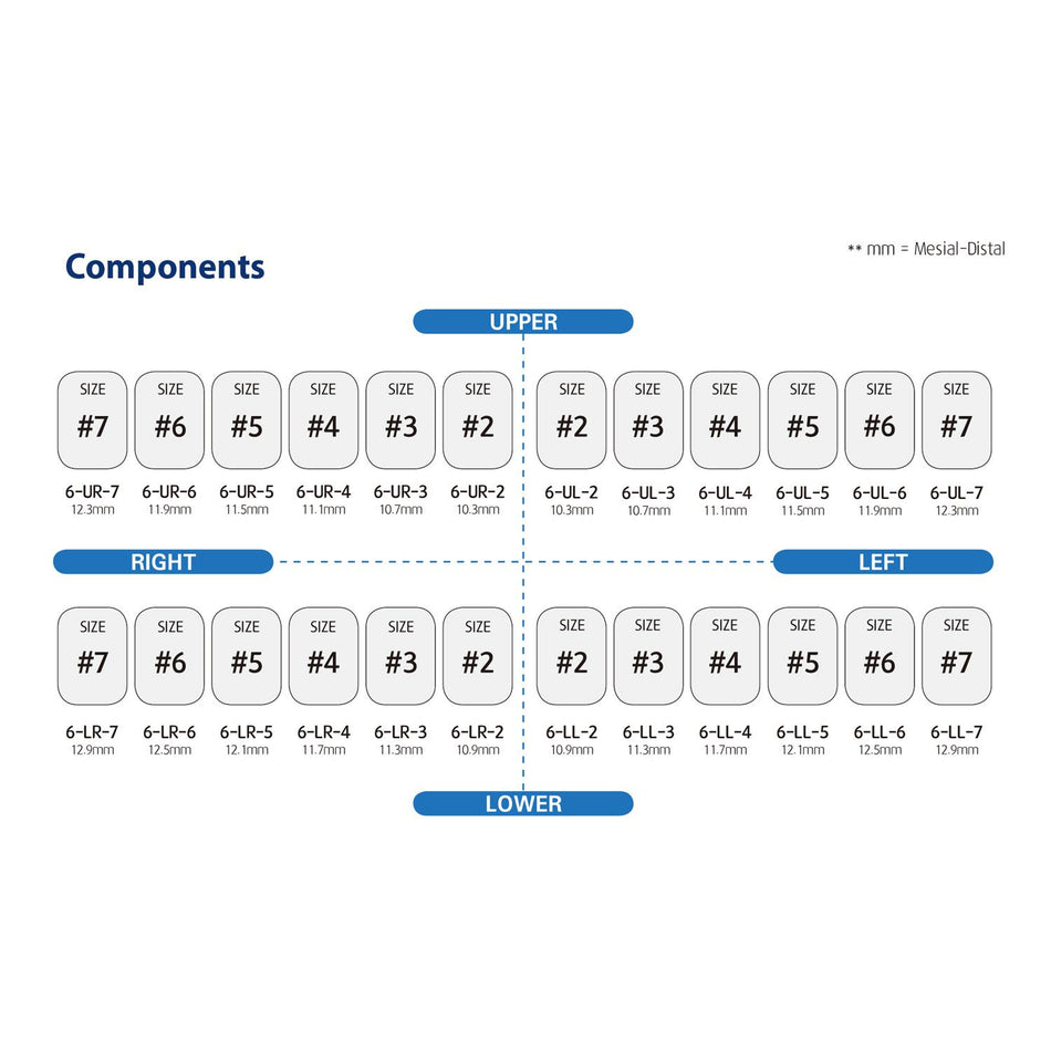 DentrealStore - Dentreal Perma Crown Permanent Molar Crown Kit (24 Crowns)